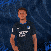Sport Bundesliga GIF by TSG Hoffenheim