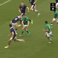 Smash Irish Rugby GIF by Guinness Six Nations