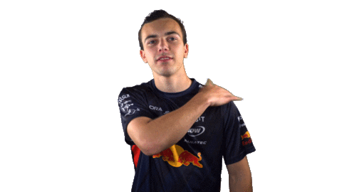 Red Bull Sr Sticker by Oracle Red Bull Racing