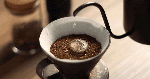 cunyi giphyupload GIF