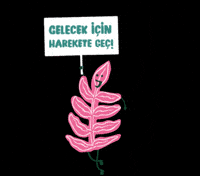 Festival GIF by STGM