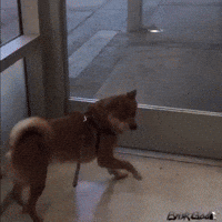 his taps
