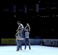 FIGymnastics  GIF