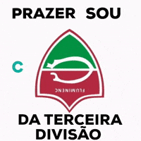 Serie C GIF