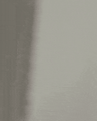 Odie GIF