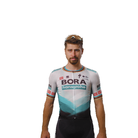 BORA-hansgrohe ready peter bora getting ready Sticker