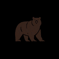 LandonSchool bear gobears landon landonschool GIF