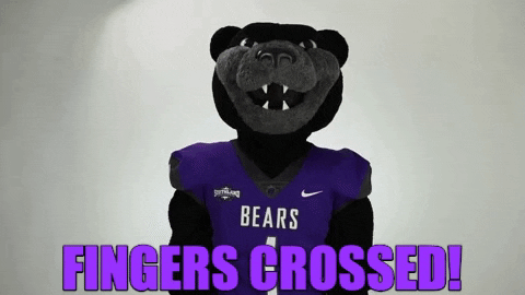 goodluck bearclawsup GIF by University of Central Arkansas