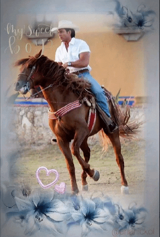 ananickol giphyattribution GIF