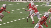 Cotton Bowl GIF by Goodyear Cotton Bowl Classic