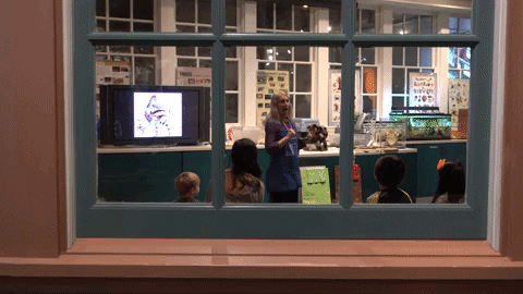 naturalsciences giphygifmaker GIF