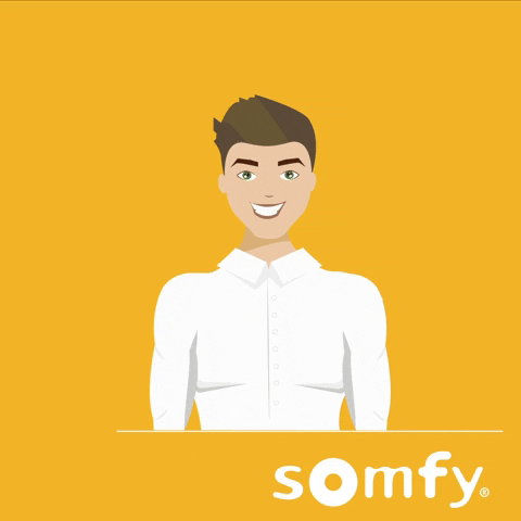 Man Idea GIF by Somfy