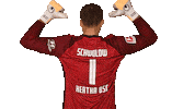 Home Swipe Up Sticker by Hertha BSC