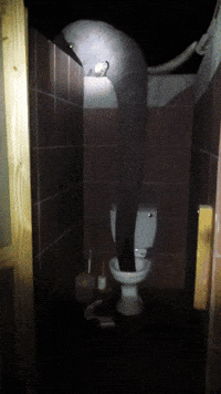 Dog Elephant GIF