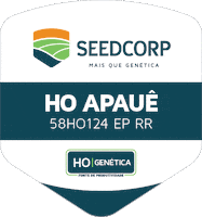 Sementes De Soja GIF by SEEDCORP HO