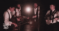 Live Music Performance GIF by CBC Music