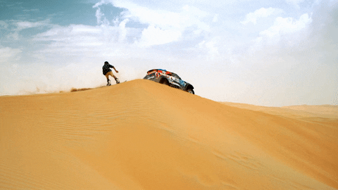 Sandboard GIF by Red Bull