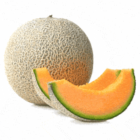 froggolock fruit beige cantaloupe yahia GIF