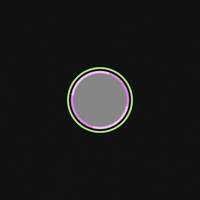 animation design GIF by Thomas L Ricci