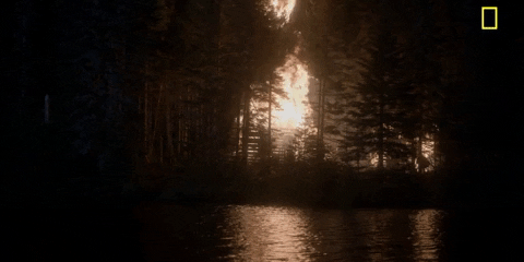 Episode 1 Fire GIF by National Geographic Channel