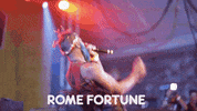 fools gold stage GIF by Fool's Gold Records