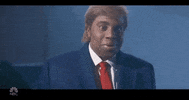 them trumps kenan thompson GIF by Saturday Night Live