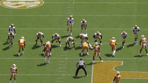 sletizia14 giphyupload cfcbears carterwarren GIF