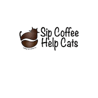 tabbycatcoffee coffee cats tabby cat coffee tabbycatcoffee Sticker