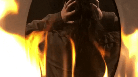 tv show fox GIF by ScreamQueens