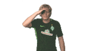 werder bremen wtf Sticker by Bundesliga