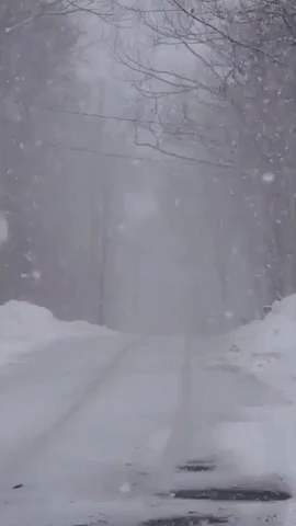 Snowfall Cuts Visibility on Tree-Lined Road in Northern New Jersey
