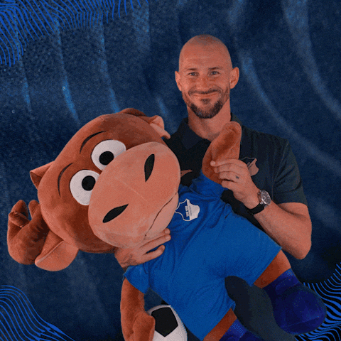 Sport Bundesliga GIF by TSG Hoffenheim