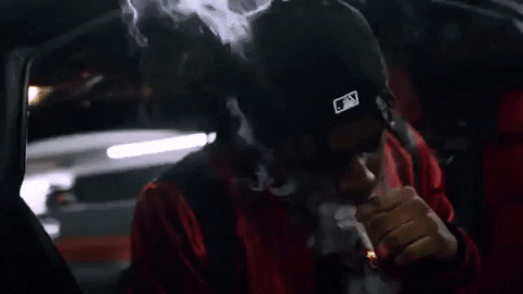 GIF by Winners Circle
