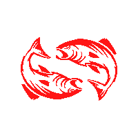 Zylt Sticker by House of Workouts