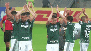 familia gracias GIF by SE Palmeiras