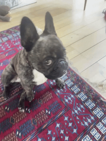 iiizzy  GIF