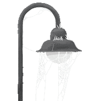 KrasaArt halloween flashlight хэллоуин spiderwebs Sticker