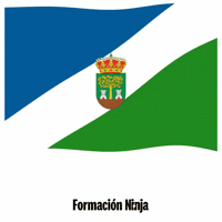 Flag Spain GIF by Formación Ninja