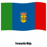 Flag Spain GIF by Formación Ninja