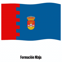 Flag Spain GIF by Formación Ninja