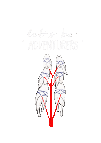 Siberian Husky Adventure Sticker