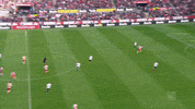 2. bundesliga football GIF by 1. FC Köln