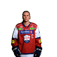Icehockey Sticker by Lillehammer Ishockeyklubb
