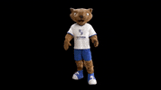 minastc max minas tenis clube mtc GIF