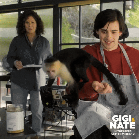 GigiAndNateMovie giphyupload hungry eat monkey GIF