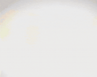 Staring Zakir Naik GIF
