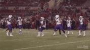 ACUFootball go wildcats acu football GIF