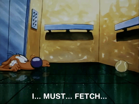 nicksplat GIF