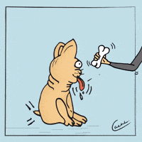 dog zombie GIF by Cachi