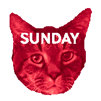 Cat Rainbow Sticker